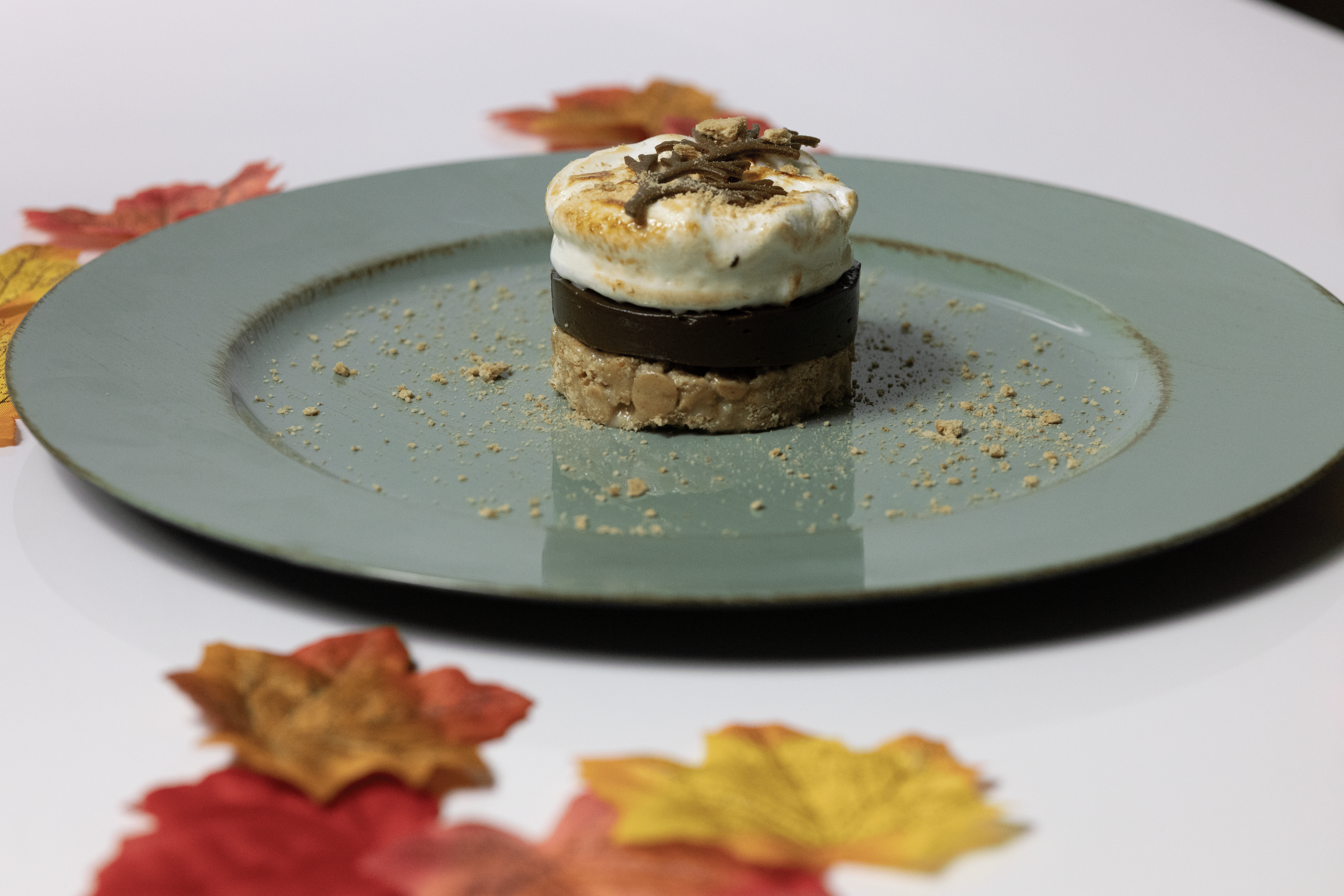 Smores Dessert